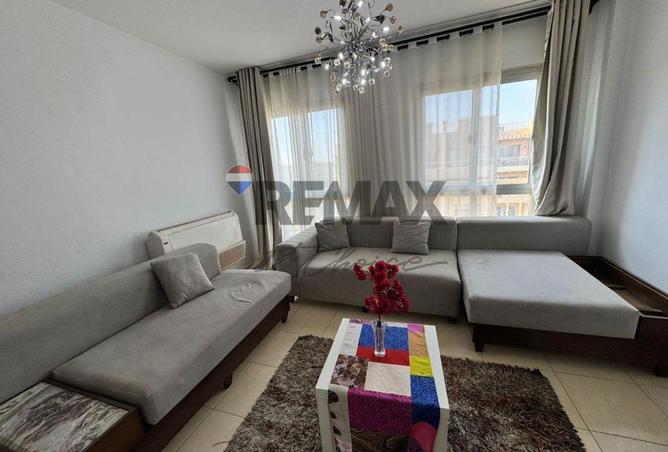 8466392 - Property Image 2