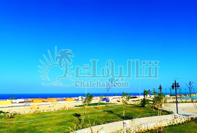 8122662 - صورة العقار 2