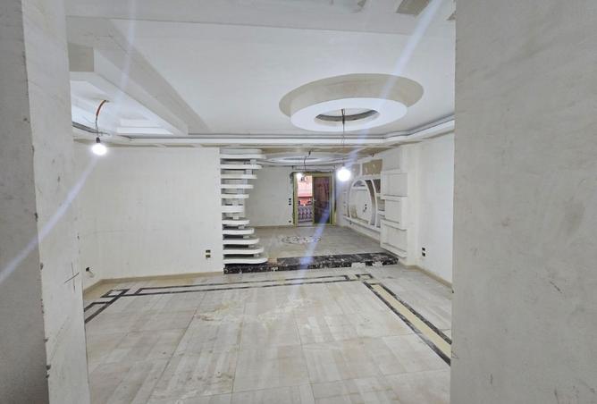 8381471 - Property Image 3