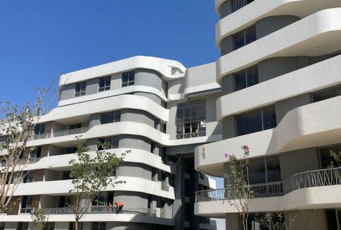 8203000 - صورة العقار 3