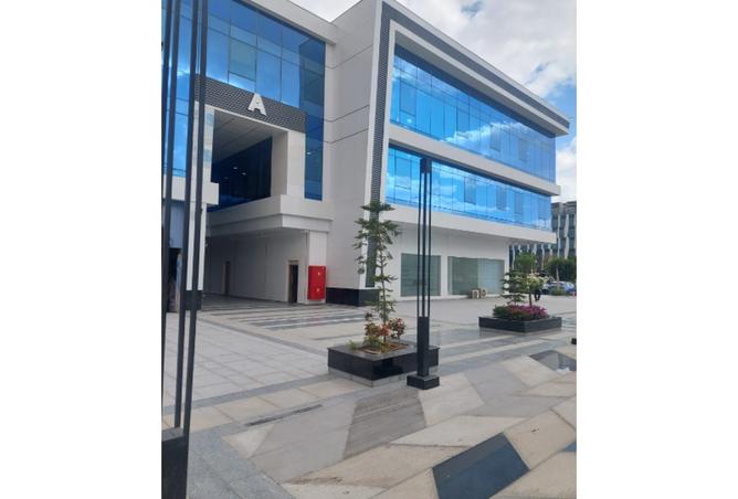 8152843 - Property Image 3