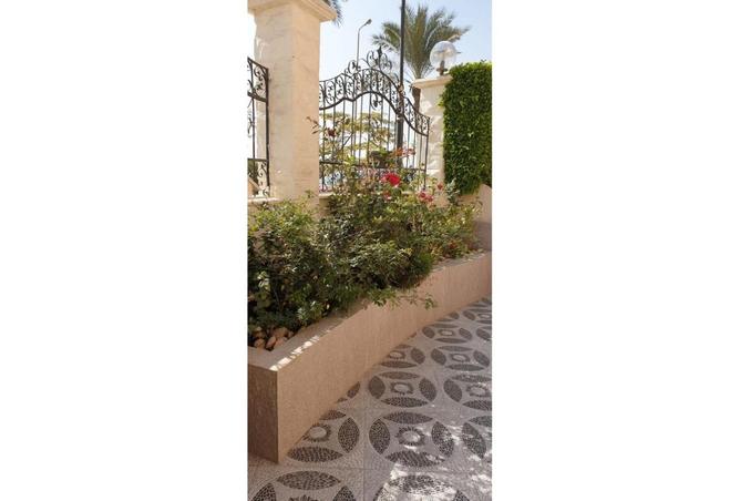 7964032 - صورة العقار 3