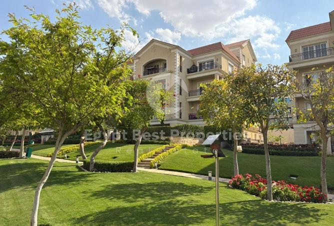 7931150 - صورة العقار 3
