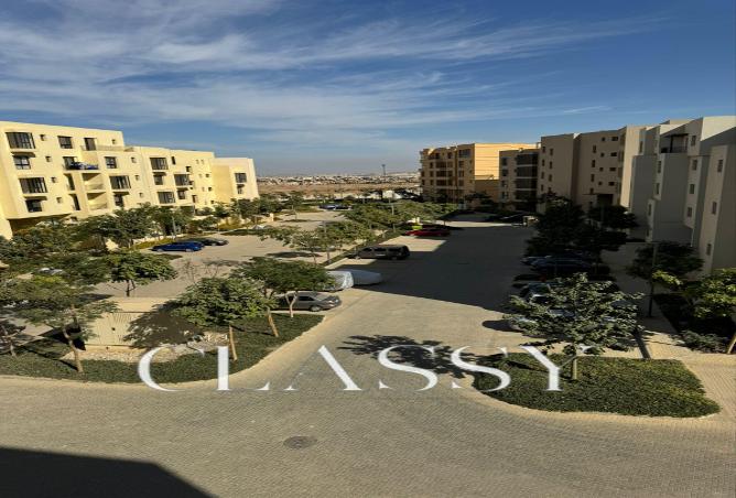 7975181 - Property Image 3