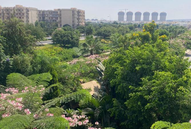 8392555 - Property Image 3