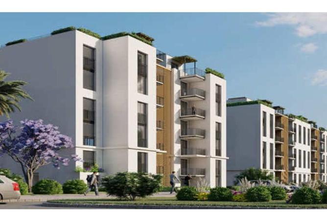 8385318 - Property Image 3