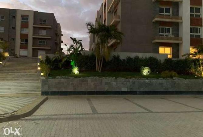 8463243 - Property Image 3