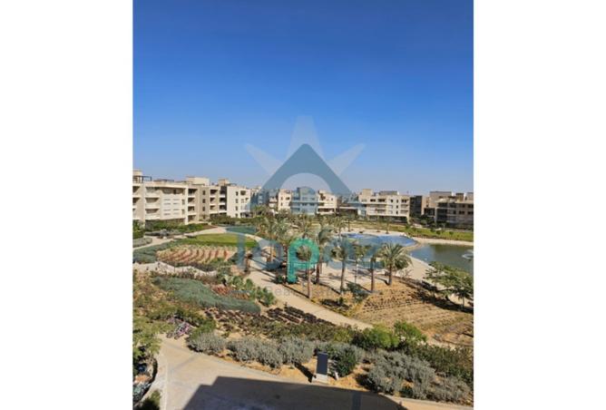 8270465 - صورة العقار 3