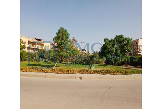 8010009 - Property Image 3