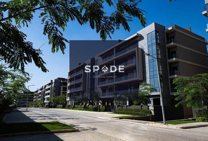 8375237 - Property Image 2