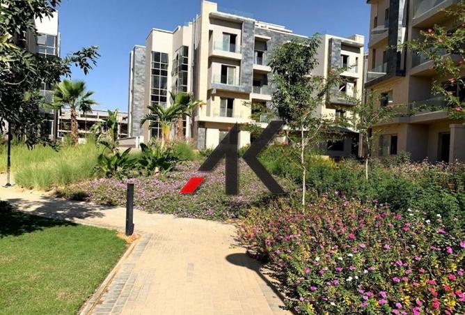 8275565 - Property Image 3