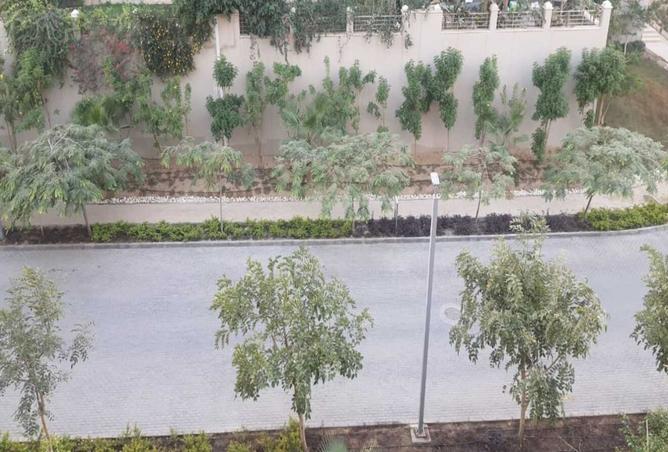 8411293 - صورة العقار 3