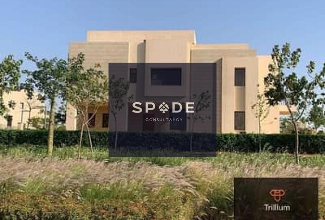 8026256 - Property Image 3