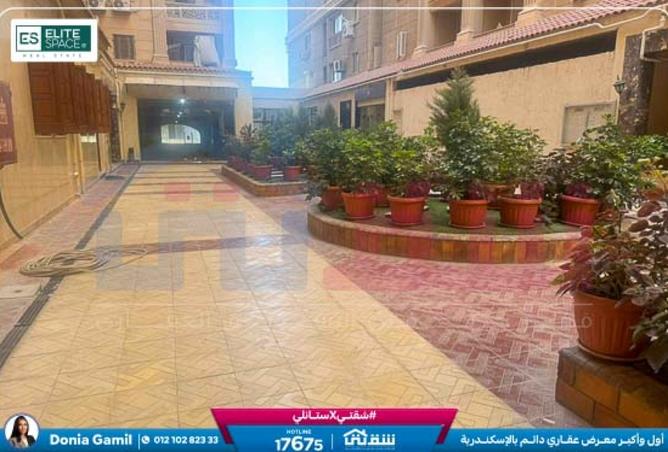 7920427 - Property Image 2