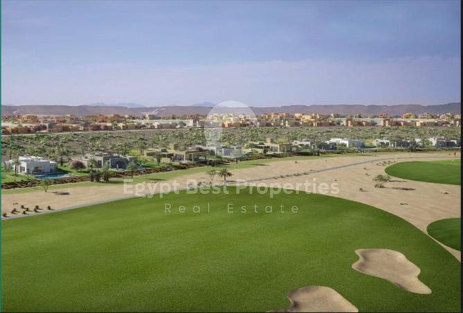 7992833 - Property Image 2