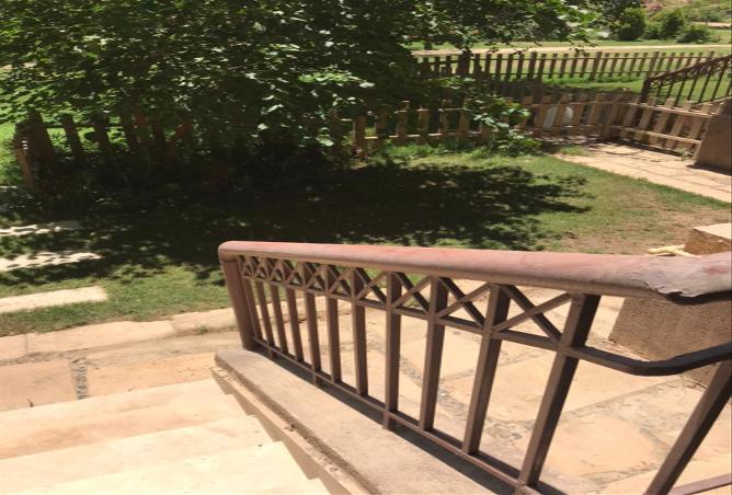 7986981 - الصورة الرئيسية للعقار