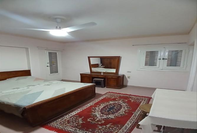 8492851 - Property Image 2