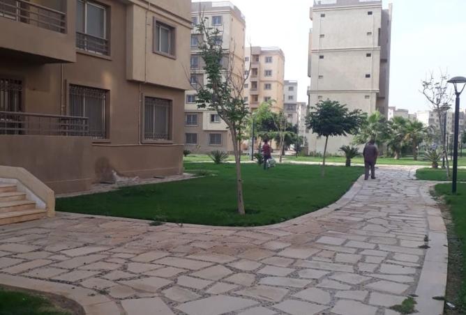 7966146 - صورة العقار 2