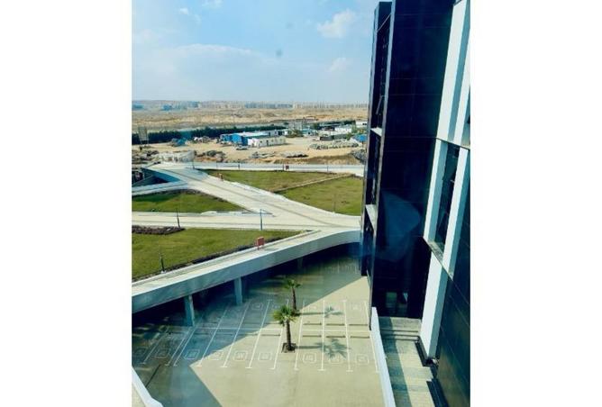 8010051 - صورة العقار 3