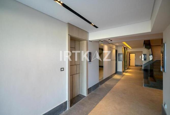 8256192 - Property Image 3