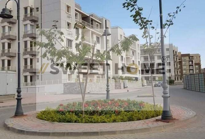 8141068 - Property Image 3