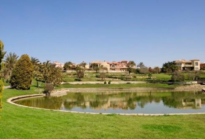 8237109 - صورة العقار 3