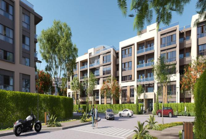 8332913 - Property Image 3