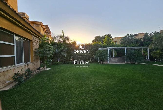 8303498 - صورة العقار 3