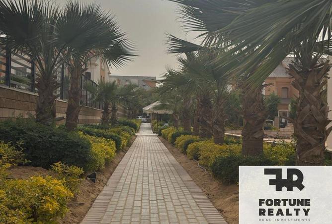 8357647 - Property Image 3