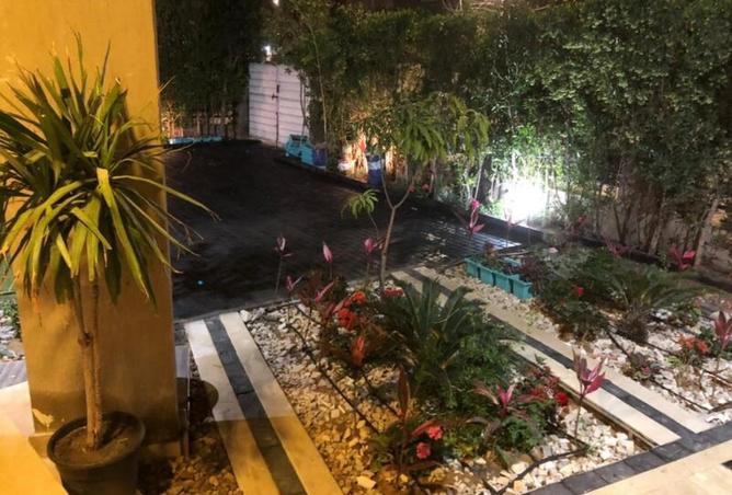 8167466 - Property Image 3