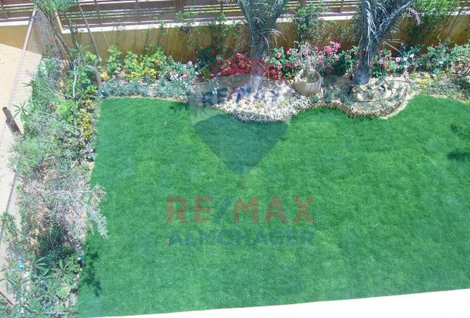 8115645 - صورة العقار 2