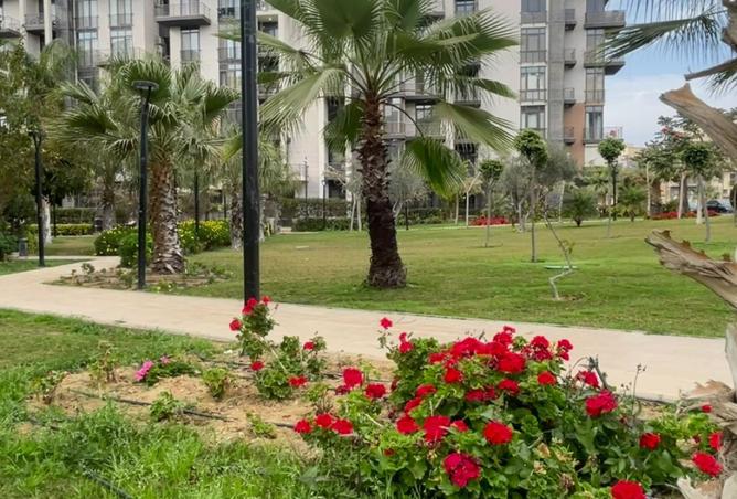 8251980 - Property Image 3