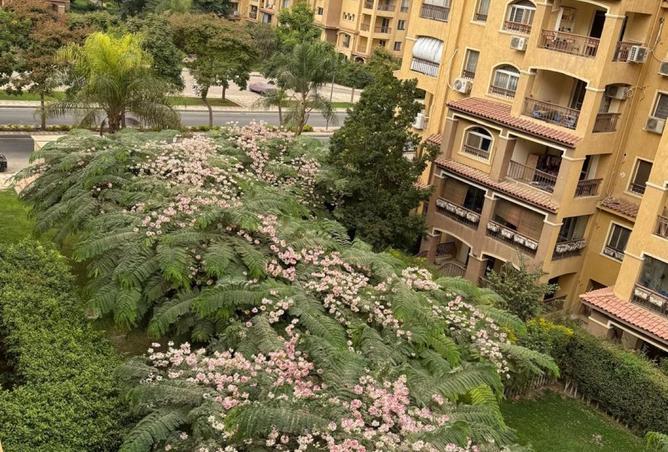 8383629 - صورة العقار 2