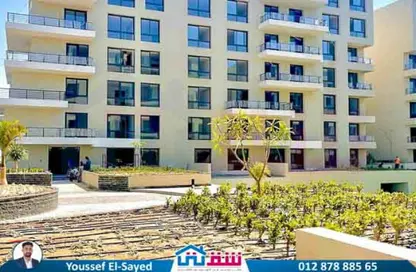 Townhouse - 6 Bedrooms - 3 Bathrooms for sale in Palm Hills - Alexandria Compounds - Alexandria