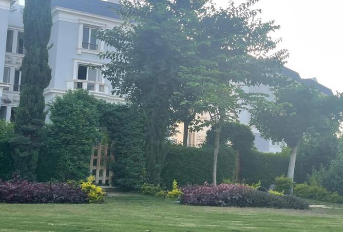 6932798 - صورة العقار 3