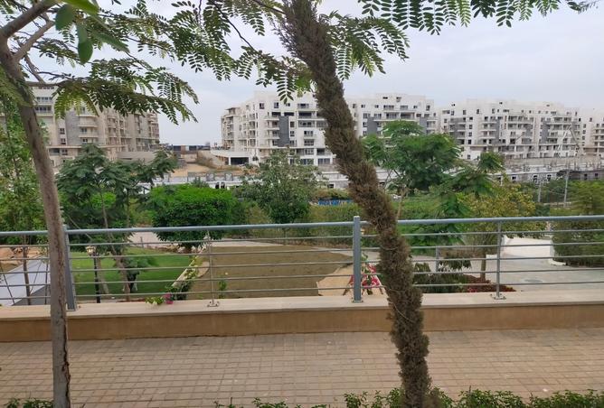7974011 - Property Main Image