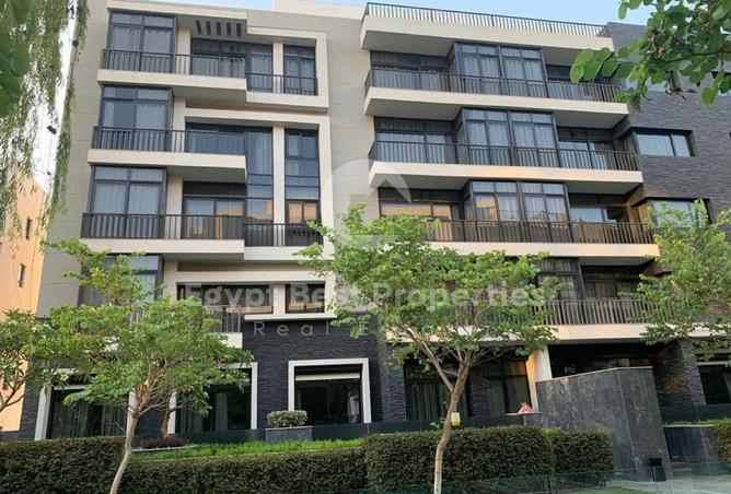 8458416 - Property Image 3