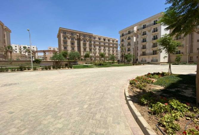7976793 - Property Image 3