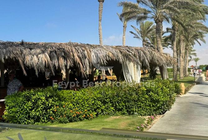 8396753 - Property Image 2