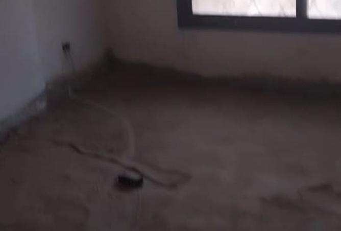 7927765 - صورة العقار 3