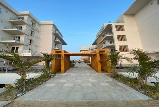 8357590 - Property Image 3