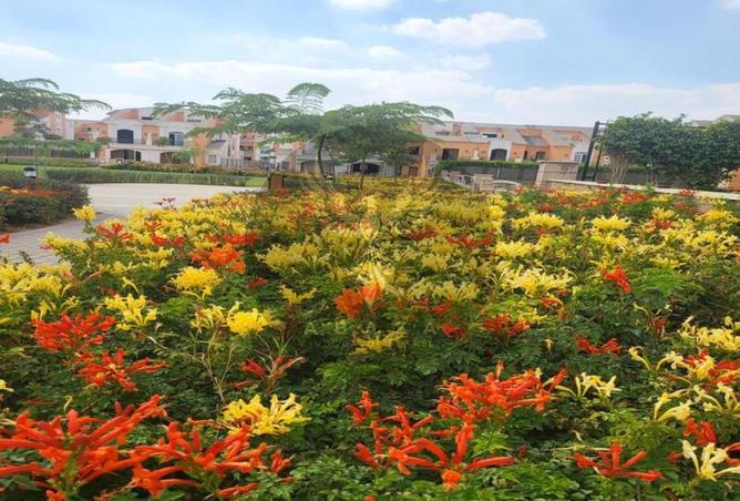 8230939 - صورة العقار 3