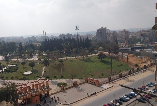 8119936 - صورة العقار 3