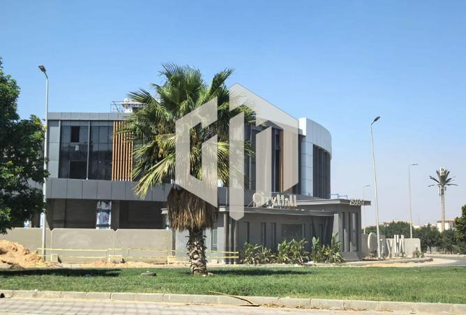 8179631 - Property Image 3