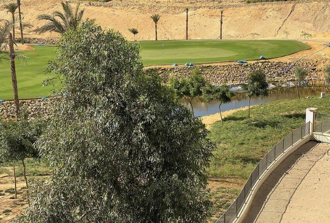 7965575 - صورة العقار 2