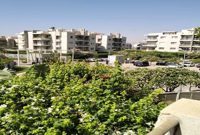 8391445 - Property Image 2