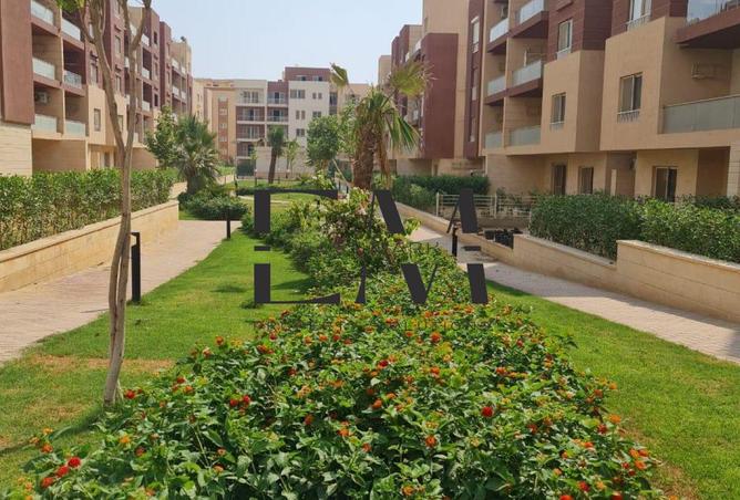 8260882 - Property Image 3