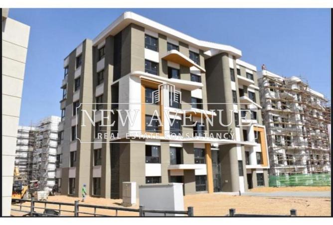 8203499 - Property Image 3