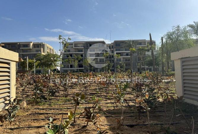 8204558 - صورة العقار 3