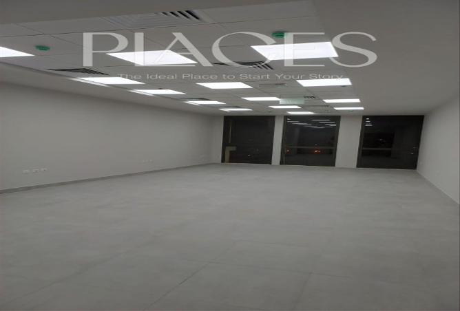 7979861 - Property Image 3